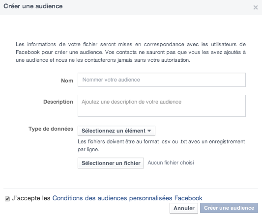 Capture-d’écran-2014-04-17-à-15.07.23 Comment cibler vos fichiers de contacts sur Facebook Ads ?